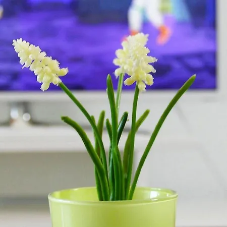 Apartment Haus Nordseebrandung Nc41