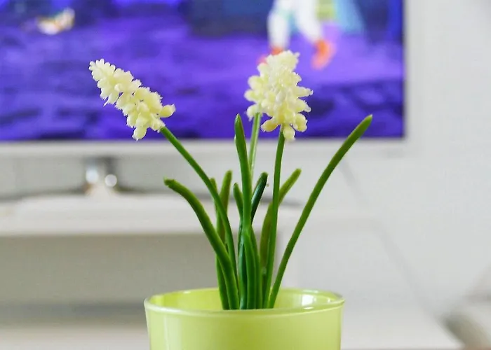 Daire Haus Nordseebrandung Nc41